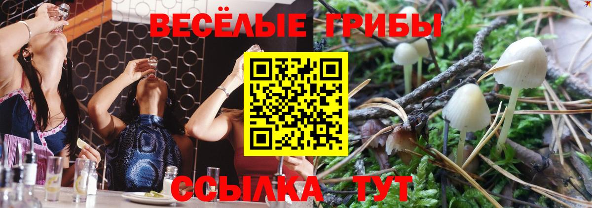 Каменка  Псилоцибиновые грибы мухоморы  Вход с VPN 