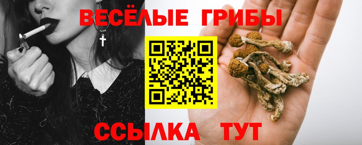 Псилоцибиновые грибы ЛСД Каменка